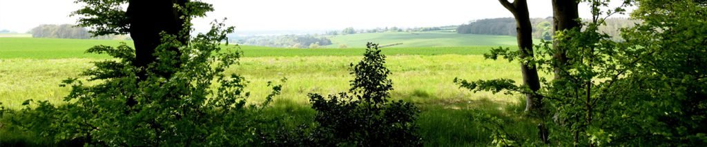 View of fields across the road from the Obam Stairlifts showroom