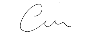 A handwritten signature with large, smooth cursive letters, perfect for endorsing a Carbon Reduction policy statement.